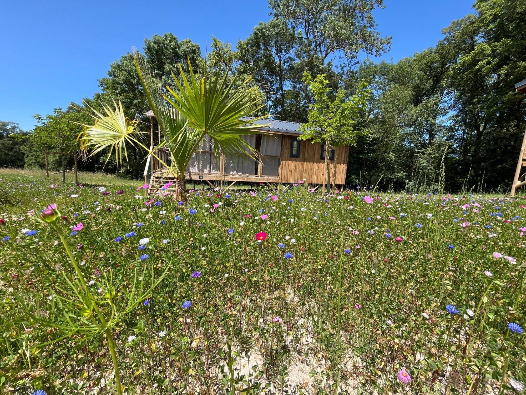 La Buissonniere Lodges Chisseaux Exteriör bild