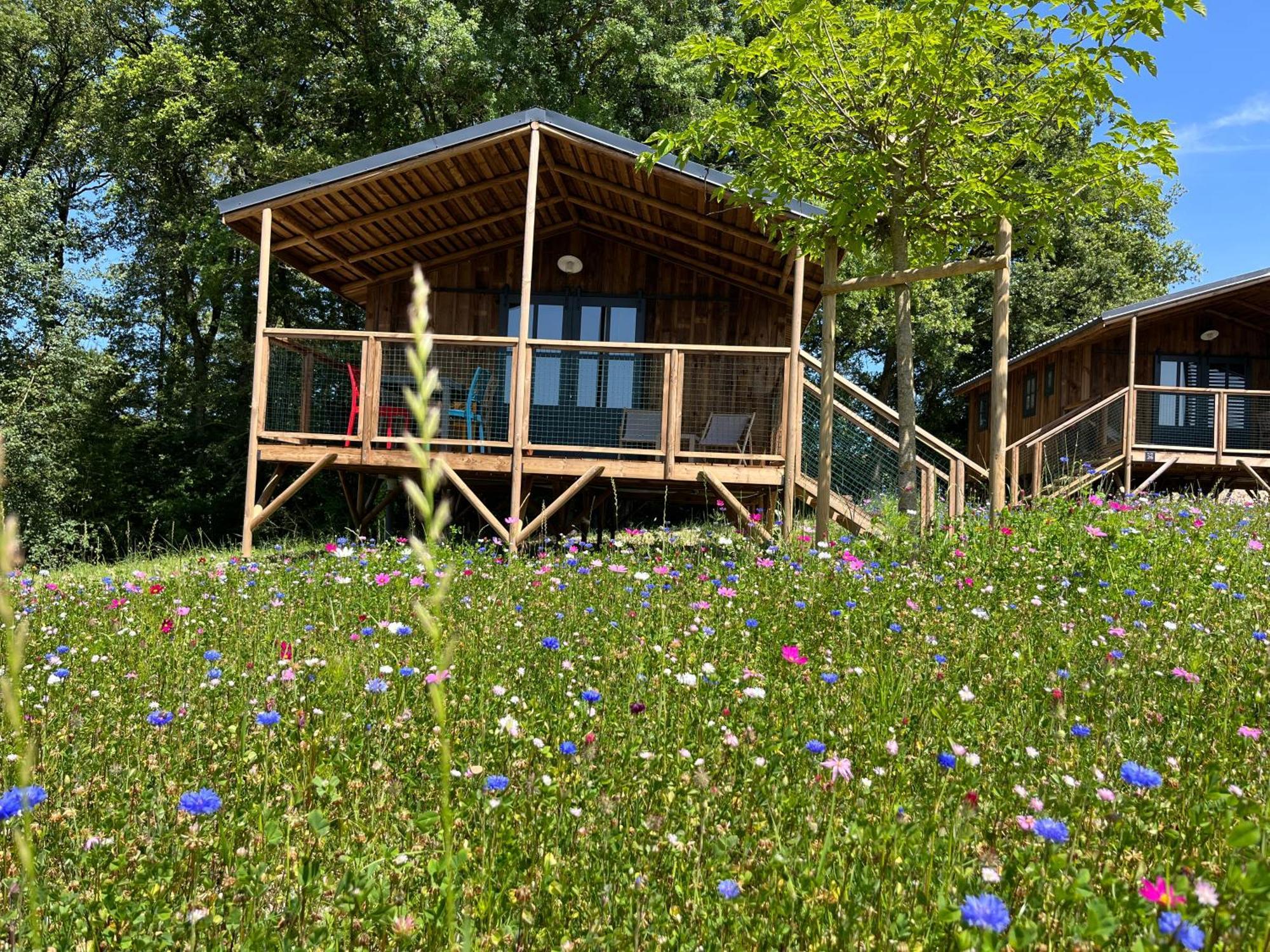 La Buissonniere Lodges Chisseaux Exteriör bild